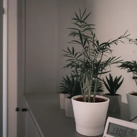 Komfort Διαμέρισμα *